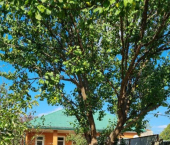 коттедж 80 кв м ул МОПРа, 78