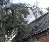 коттедж 27 кв м Володи Головатого ул, 550