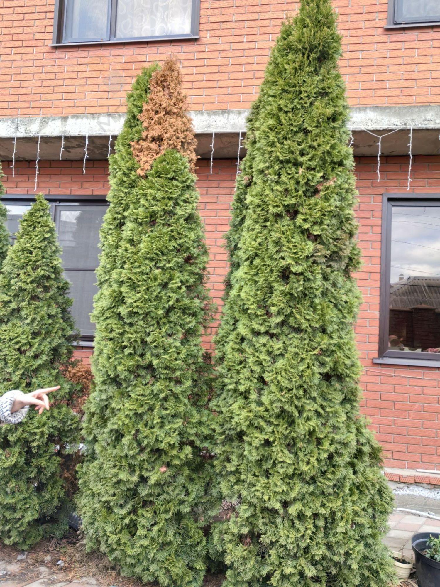 Купить дачу, дом, коттедж за 24 500 000 рублей на МК-62 ул, 4