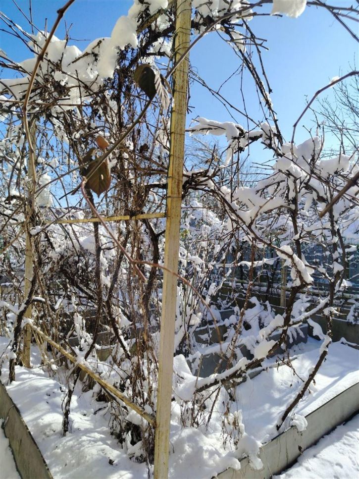 Коттедж/дом Каменномостский