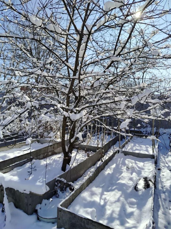 Коттедж/дом Каменномостский