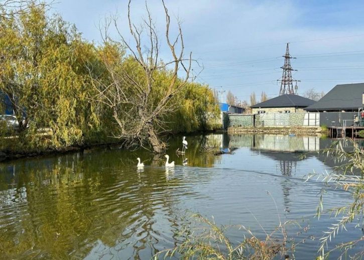 Коттедж/дом Дзержинского ул, 40/9