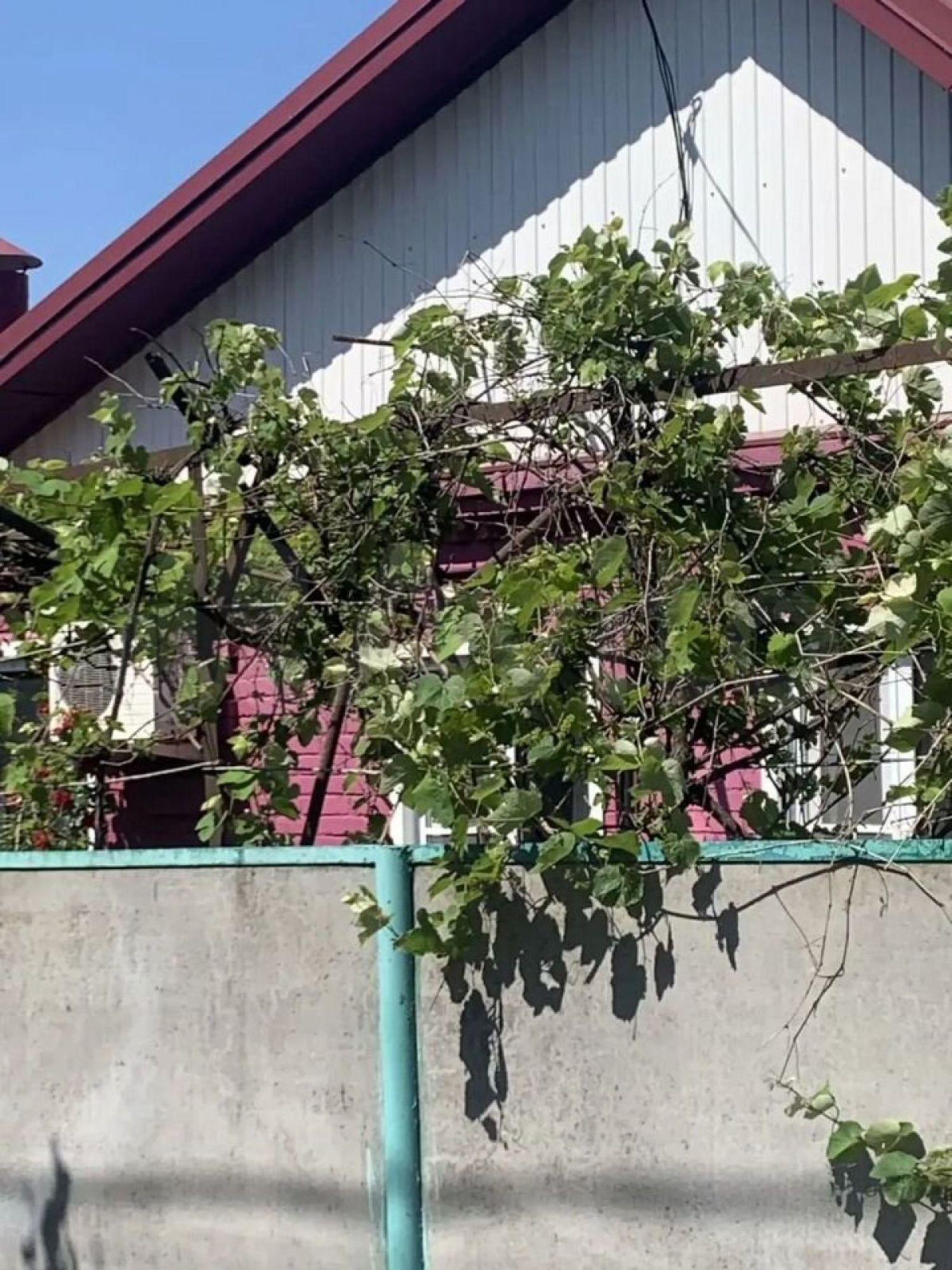 Купить дачу, дом, коттедж за 8 500 000 рублей на Пролетарская ул, 4/1